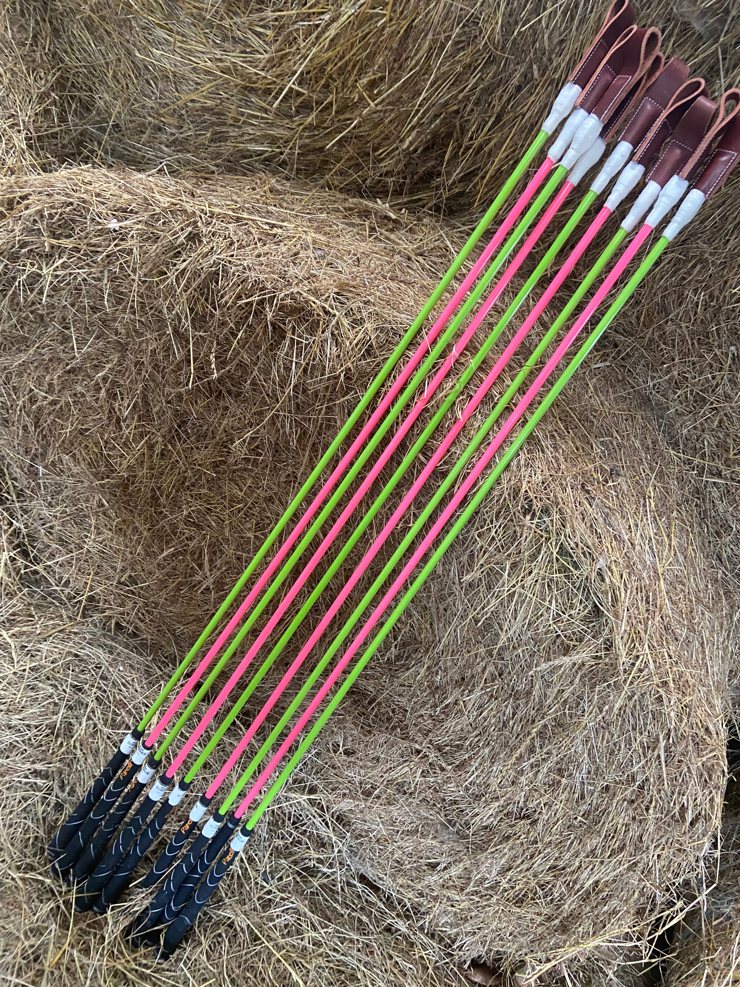 Carrot Stick