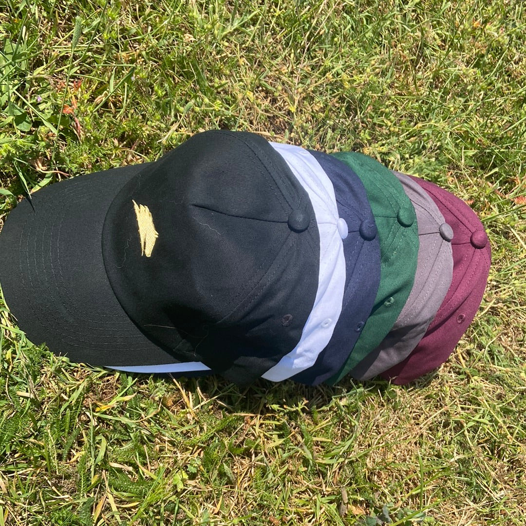 Parelli Cap