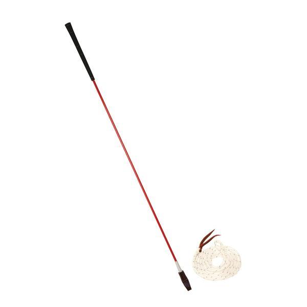 Orange Carrot Stick and White Savvy String