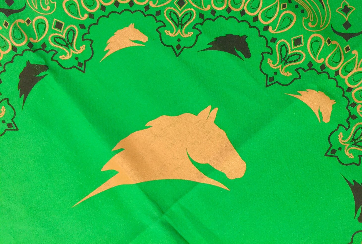 Green Parelli Bandana with 2 color design