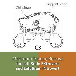 Cradle Bit C3