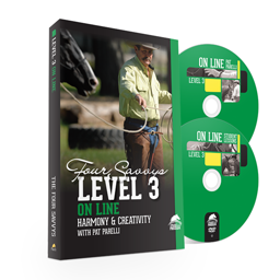 Savvy Series Level 3 On Line