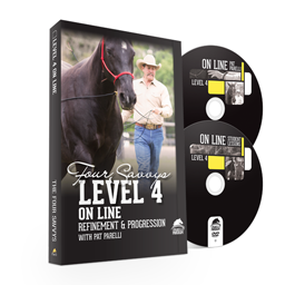 Savvy Series Level 4 On Line