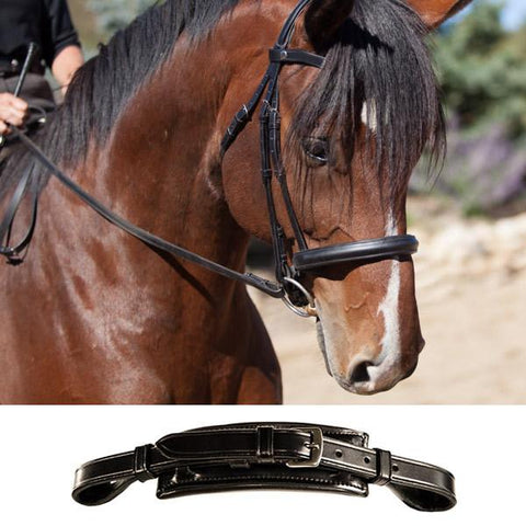 English Bridles and accessories