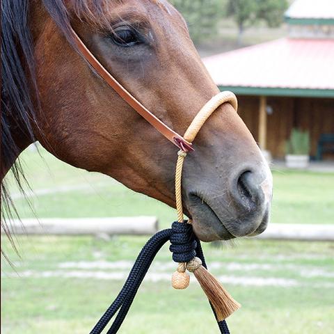 Specialized Equipment