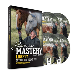 Savvy Mastery Series - Liberty Outside the Round Pen