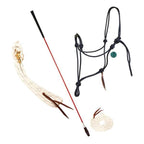 level 1 combo-Essential Starter Kit with Level One Online DVD