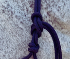 Parelli Horseman's Halter