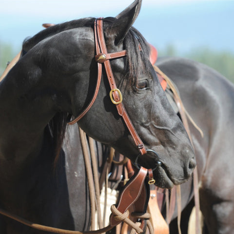 Snaffle Bridle