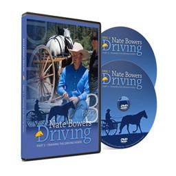 Driving Part 3 - Training the Driving Horse