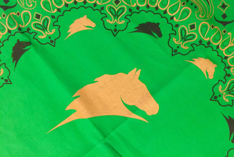Green Parelli Bandana with 2 color design