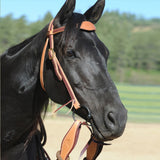Snaffle Bridle