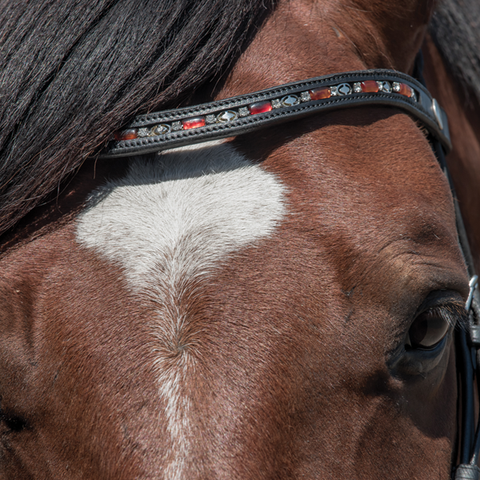 English Browband Curvy Style w/ Amber Beads
