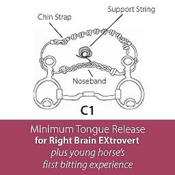 Cradle Bit C1