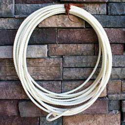 22-ft Ground Training Rope