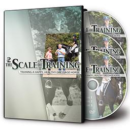 The Scale of Training Part II