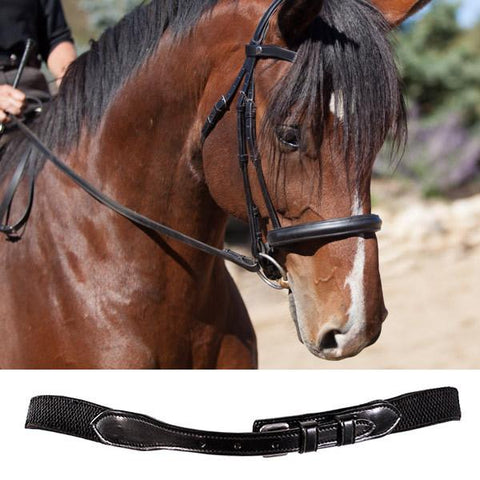 English Hunter Jumper Bridle