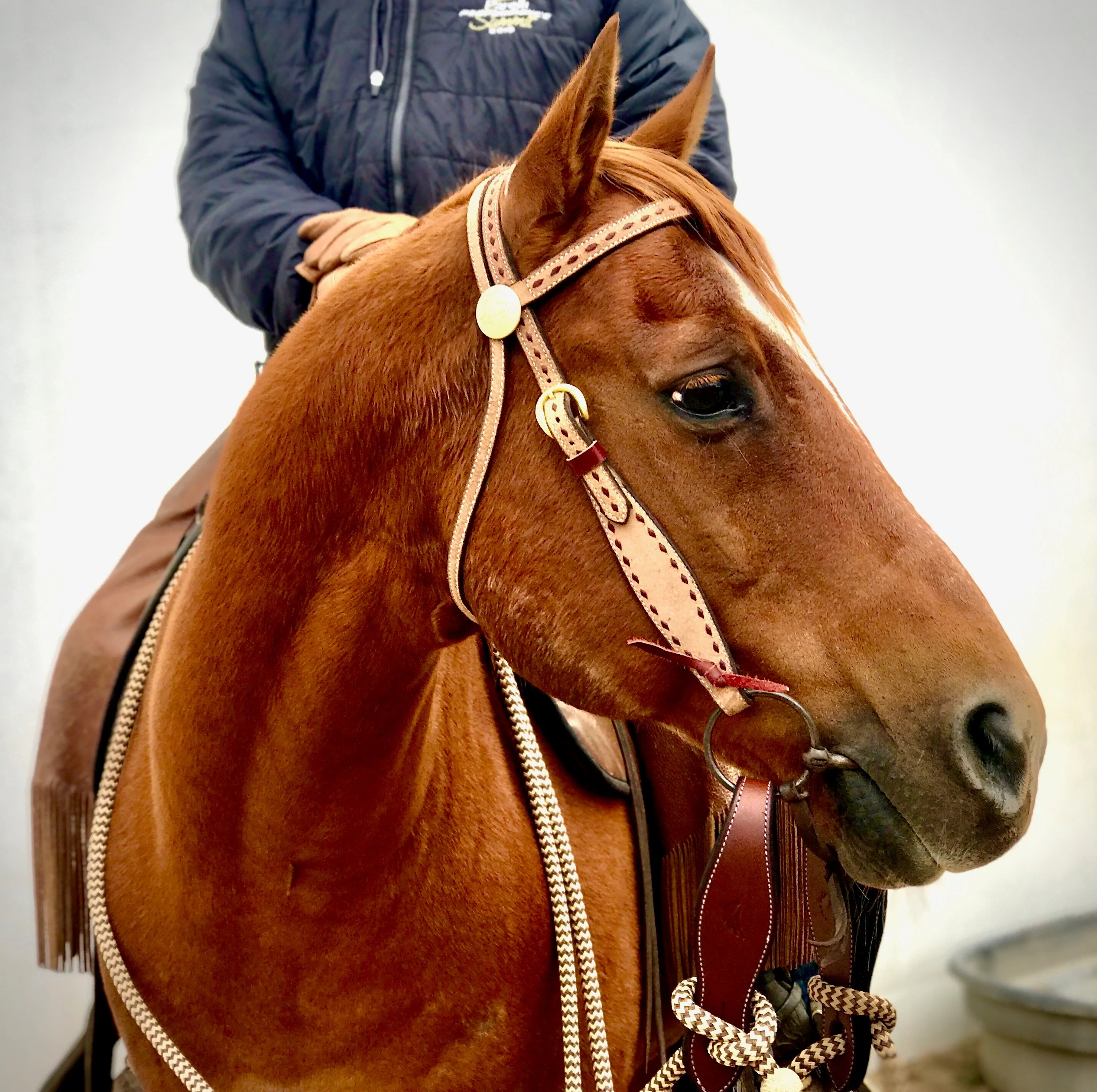 Pat's Rough Out Snaffle Bridle with Cream and Chocolate Mecate Reins