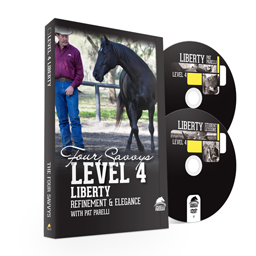 Savvy Series Level 4 Liberty
