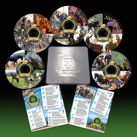 Savvy Summit 20 Year DVD Collection